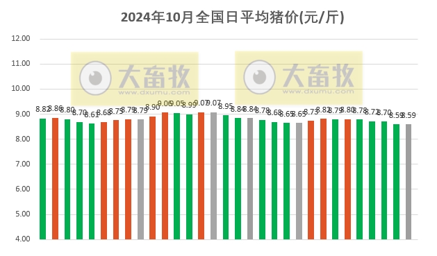 最新毛猪价动态分析与走势预测