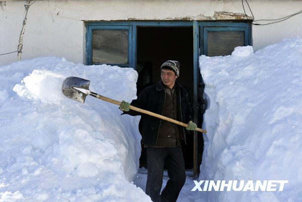 雪灾最新情况分析简报