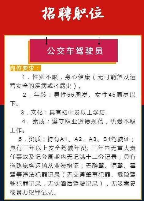 恩施最新司机招聘信息与细节解析