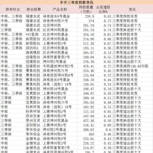 辛宇最新持股动向与投资策略深度解析