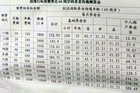 最新社保缴费年限详解，影响、变革与应对策略全解析