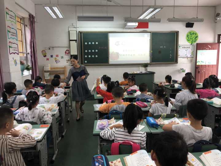 实验小学探索教育新篇章，引领未来成长之路的最新报道