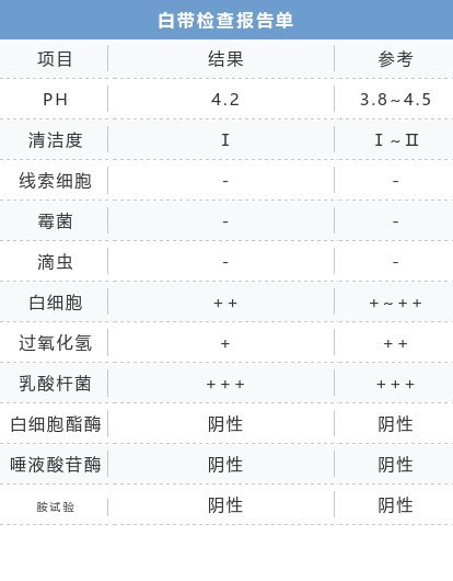 2024澳门天天开好彩大全46期,持久性策略解析_Phablet37.489