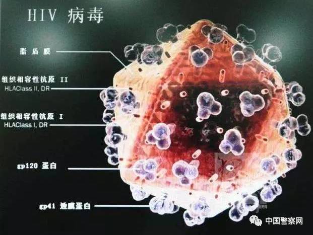 电白最新病毒深度解析与应对指南