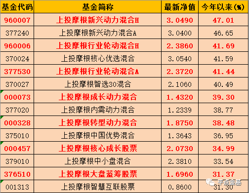 新奥门天天开奖资料大全,绝对经典解释落实_轻量版80.105