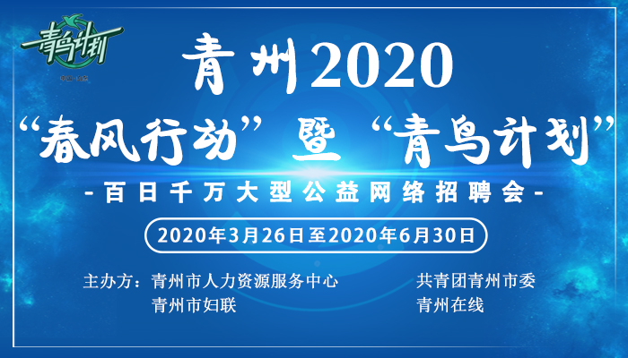 青州人才网招聘动态更新与人才策略深度解析