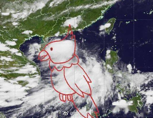 台风鹦鹉最新路径分析及其影响概述