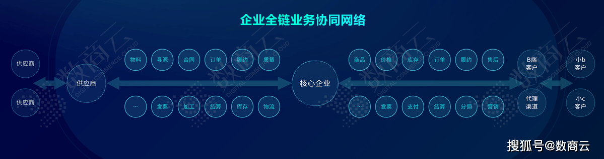 二四六期期准资料公开,实效性解析解读策略_MP40.498