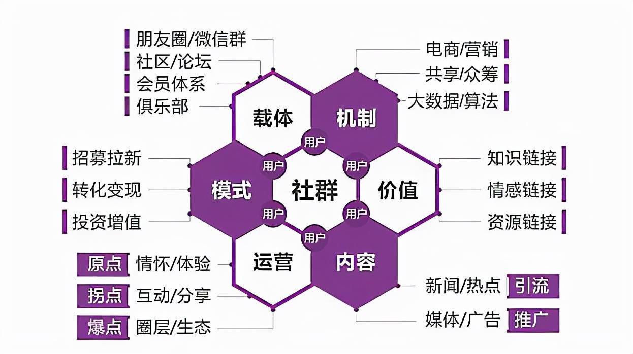 新澳门321期开什么生肖,数据导向策略实施_Essential55.377