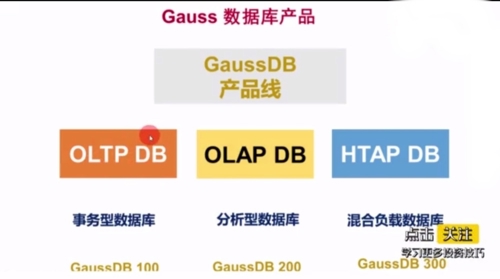 新澳门王中王100%期期中,深入数据解析策略_苹果18.390