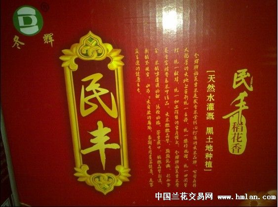 稻花香酒最新上市动态，蓄势待发，引领白酒市场新趋势