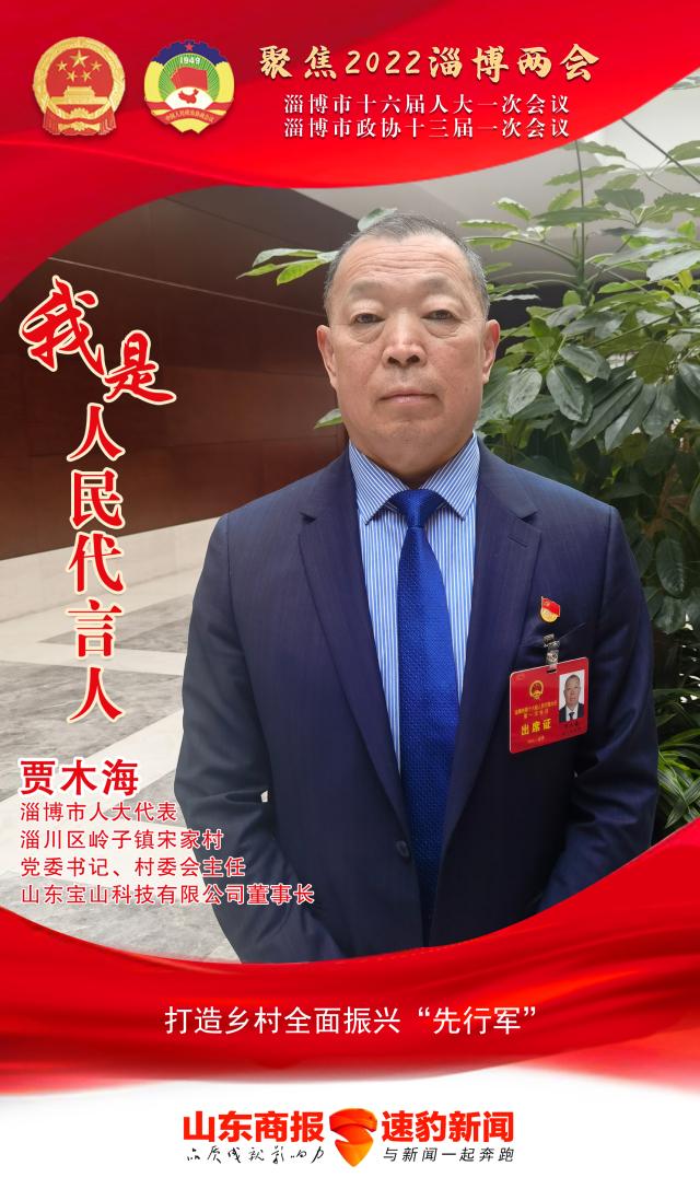 山东水泥厂最新动态深度剖析