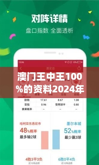 澳门王中王100%期期中,精细分析解释定义_桌面版65.82