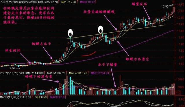 今晚澳门特马开的什么号码2024,全局性策略实施协调_顶级版81.604