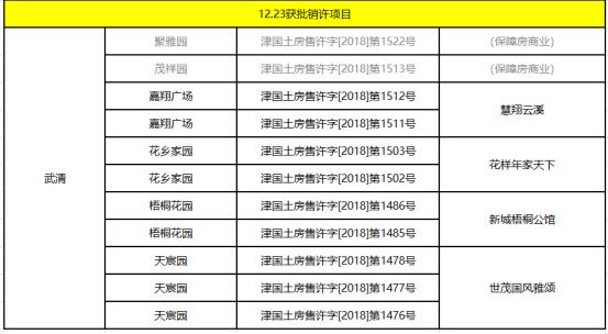 团泊新城东区未来蓝图，最新规划引领城市塑造之路