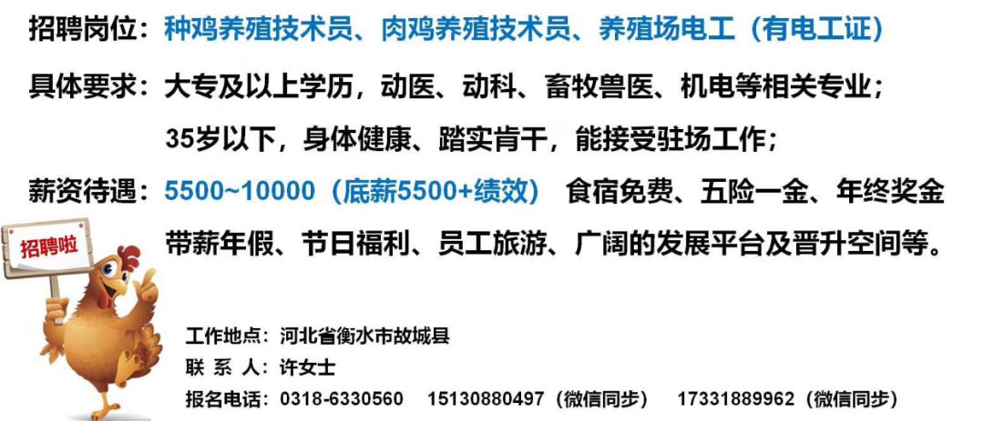 广西南宁猪场最新招聘启事，探寻职业新天地，开启事业新篇章