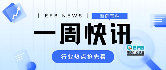 香港重大事件最新报道概览