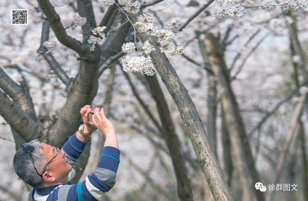 句容花语墅新生活美学绽放最新动态