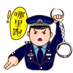 宣城市市公安局最新动态报道