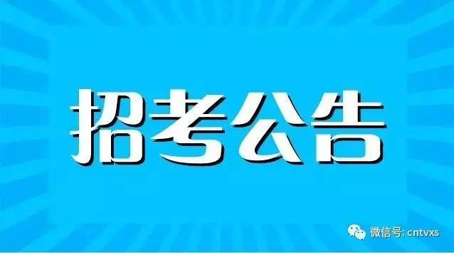 文成最新招聘动态与职业发展机遇概览