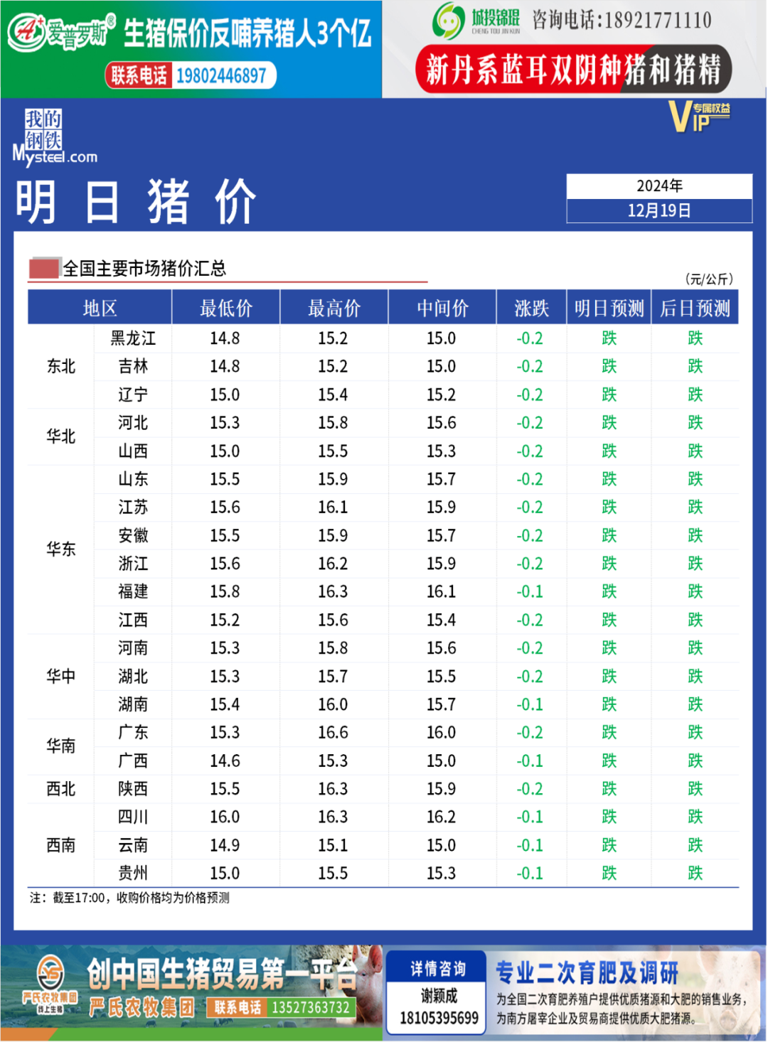 广东生猪最新行情概览