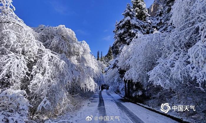 超雪源引领科技革新，塑造未来世界新篇章