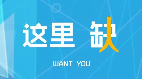 马勒招聘最新信息概览，掌握最新职位信息与动态